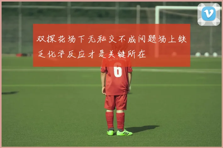 双探花场下无私交不成问题场上缺乏化学反应才是关键所在