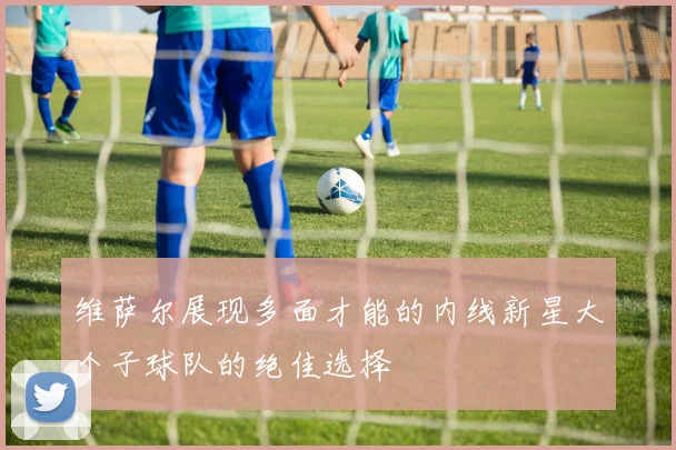 维萨尔展现多面才能的内线新星大个子球队的绝佳选择
