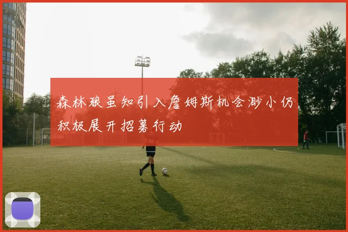 森林狼虽知引入詹姆斯机会渺小仍积极展开招募行动
