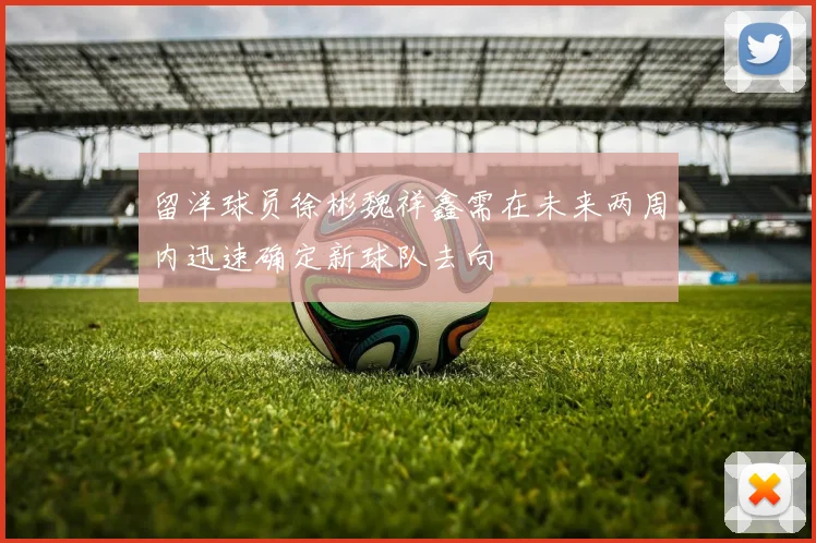 留洋球员徐彬魏祥鑫需在未来两周内迅速确定新球队去向